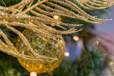 Christmas and new year holidays background. christmas tree  with gold ball and sparkling feather. 