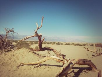 View of barren landscape