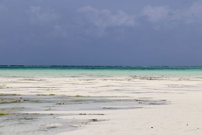 Scenic view of beach against sky