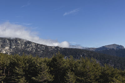 Scenic view of landscape against blue sky