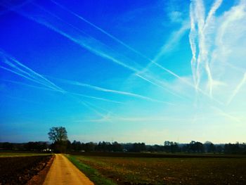 Scenic view of agricultural field against blue sky