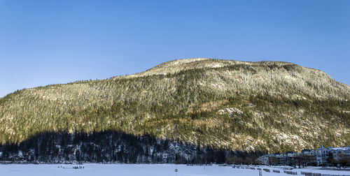 Scenic view of snowcapped mountain against clear blue sky