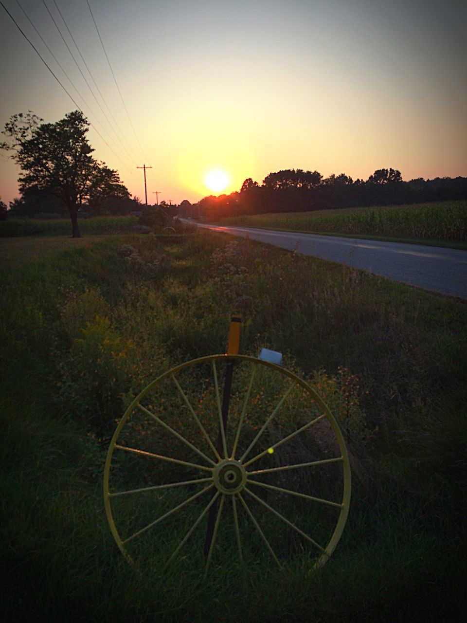 sunset, transportation, bicycle, land vehicle, sun, field, landscape, tree, mode of transport, orange color, sky, tranquility, tranquil scene, scenics, beauty in nature, nature, silhouette, grass, sunlight, stationary