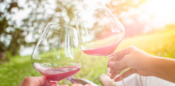 Cropped image of hand holding wineglass
