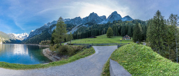 Panoramic view of trees against sky