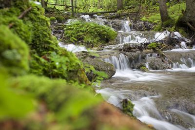 Scenic view of waterfall