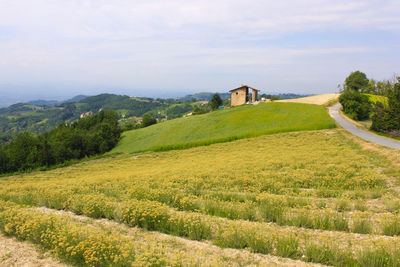 Landscape of fields used for cultivation in the piedmont area in italy