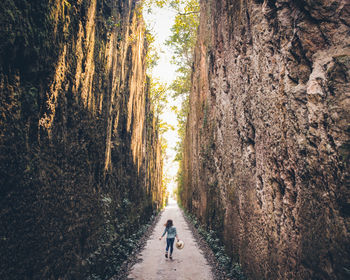 Rear view of man walking in forest