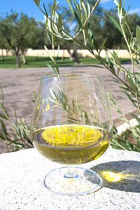 Close-up of drink on table