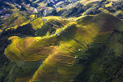 Terraced rice fields in yen bai, vietnam