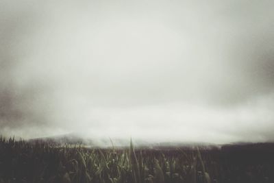 Scenic view of field against cloudy sky