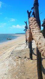 Wooden posts on beach against sky