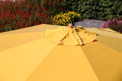 Yellow parasol against flower 