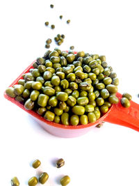 High angle view of fruits in bowl against white background