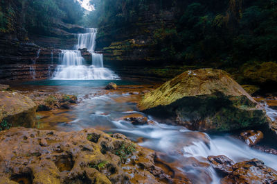 Scenic view of waterfall in forest