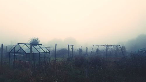 Trees against sky in foggy weather