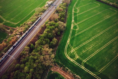 High angle view of railway amidst trees in the country