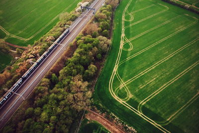 High angle view of road amidst trees in city