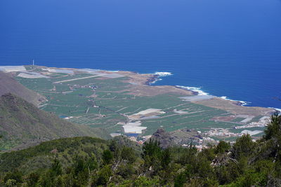 High angle view of trees by sea