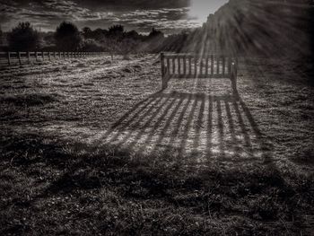 Scenic view of grassy field