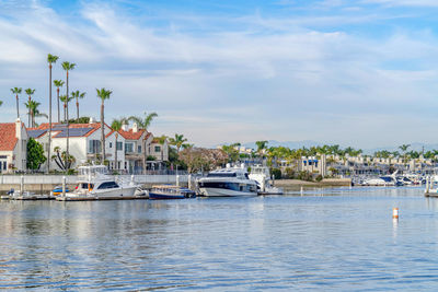 Sailboats moored in harbor