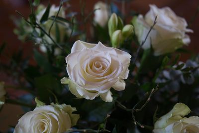 Close-up of rose bouquet