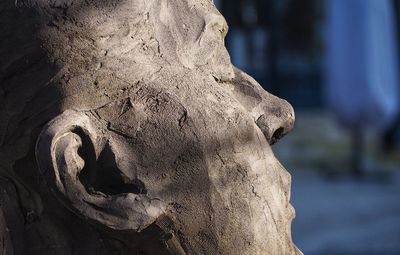 Close-up of statue