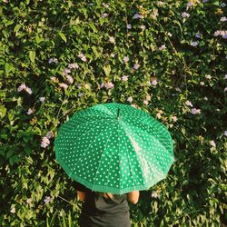 Rear view of woman with umbrella while standing against ivy on wall
