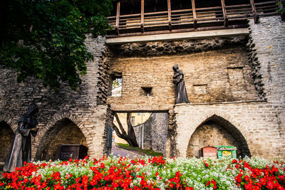 Flowering plants by building