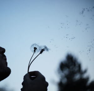 Low angle view of silhouette hand holding dandelion against sky