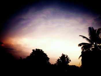 Low angle view of silhouette trees against sky