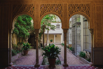 Potted plants in front of historic building