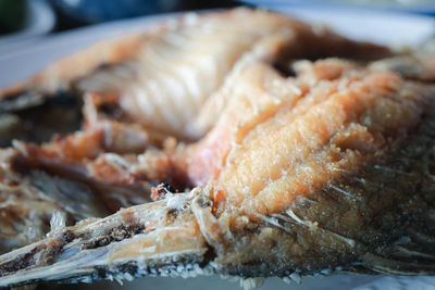 Close-up of dead fish on barbecue grill