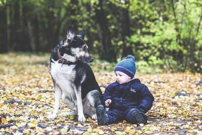 Boy with dog sitting on field