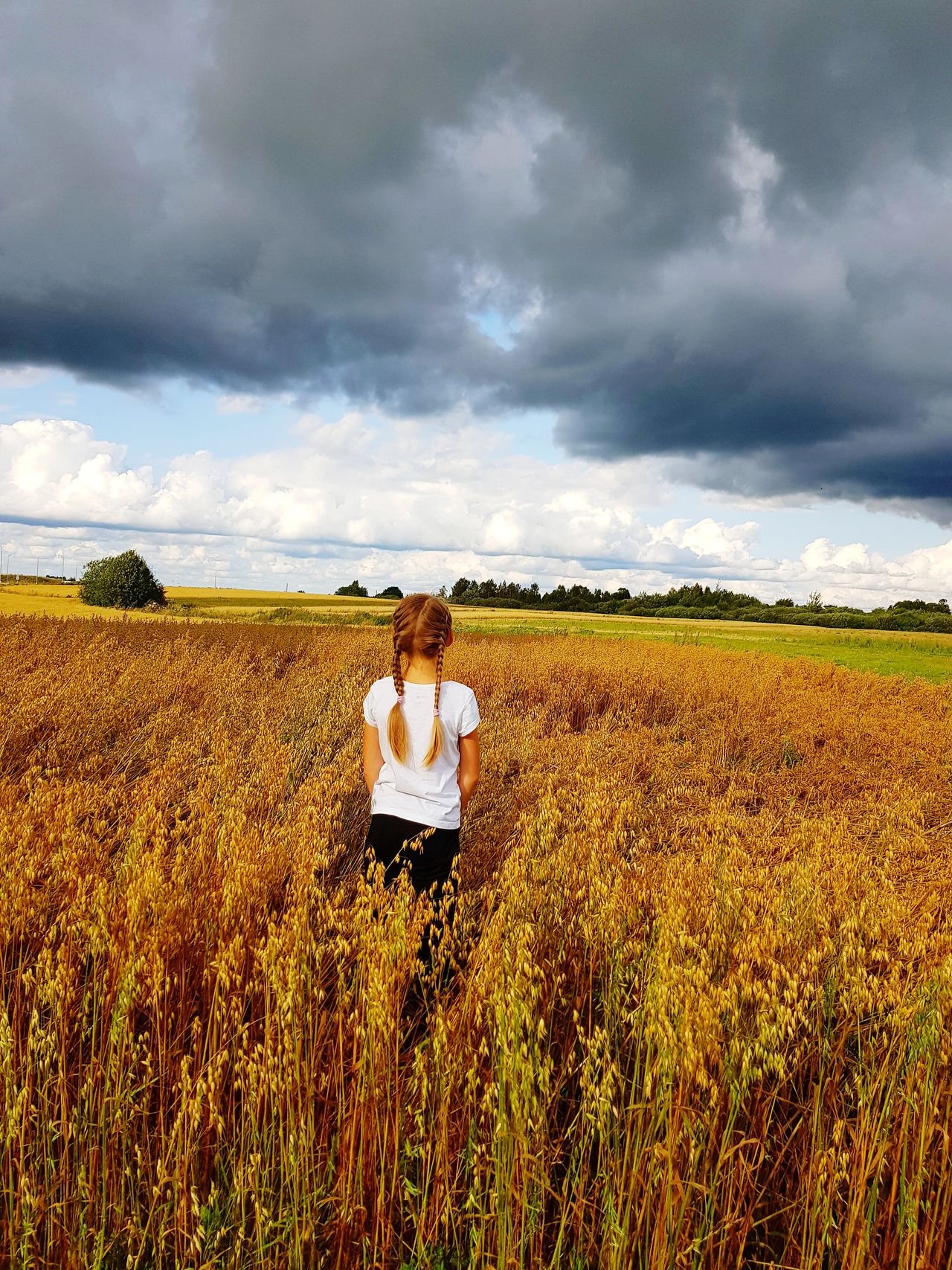 Girl in crop field