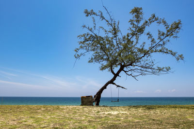 Tree by sea against clear blue sky