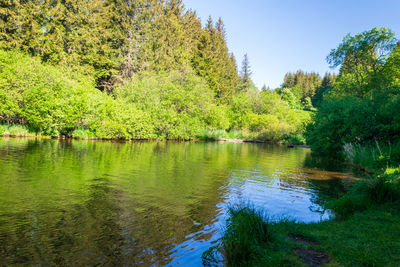 Scenic view of lake in forest against sky