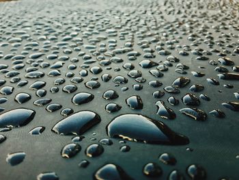 Close-up of floral pattern