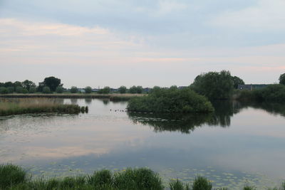 Scenic view of lake and trees against sky