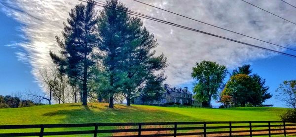 Trees on field against sky