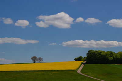 Scenic view of field against sky