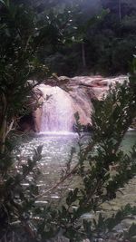 Stream flowing through rocks in forest