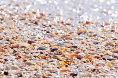 Full frame shot of pebbles at beach