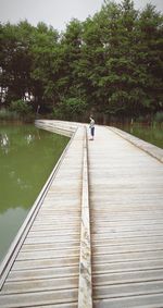 Mid distance view of boy standing on pier over lake against trees