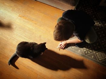 High angle view of cat on floor