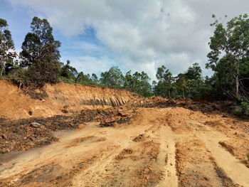 Dirt road amidst trees on field against sky