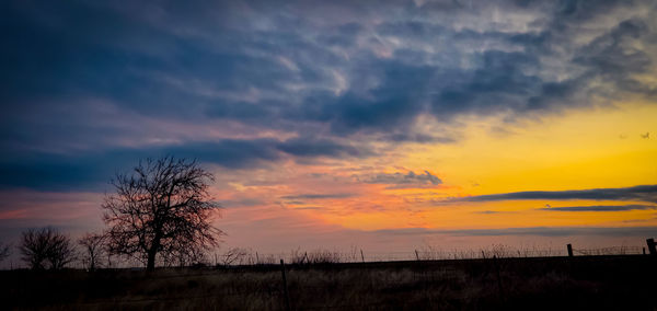 Silhouette trees on field against romantic sky at sunset