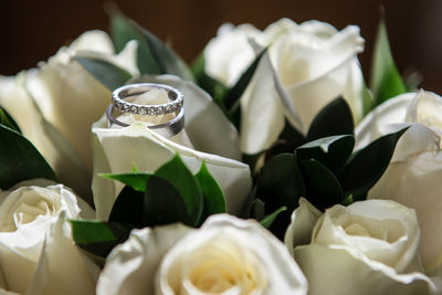 Close up of rings on rose