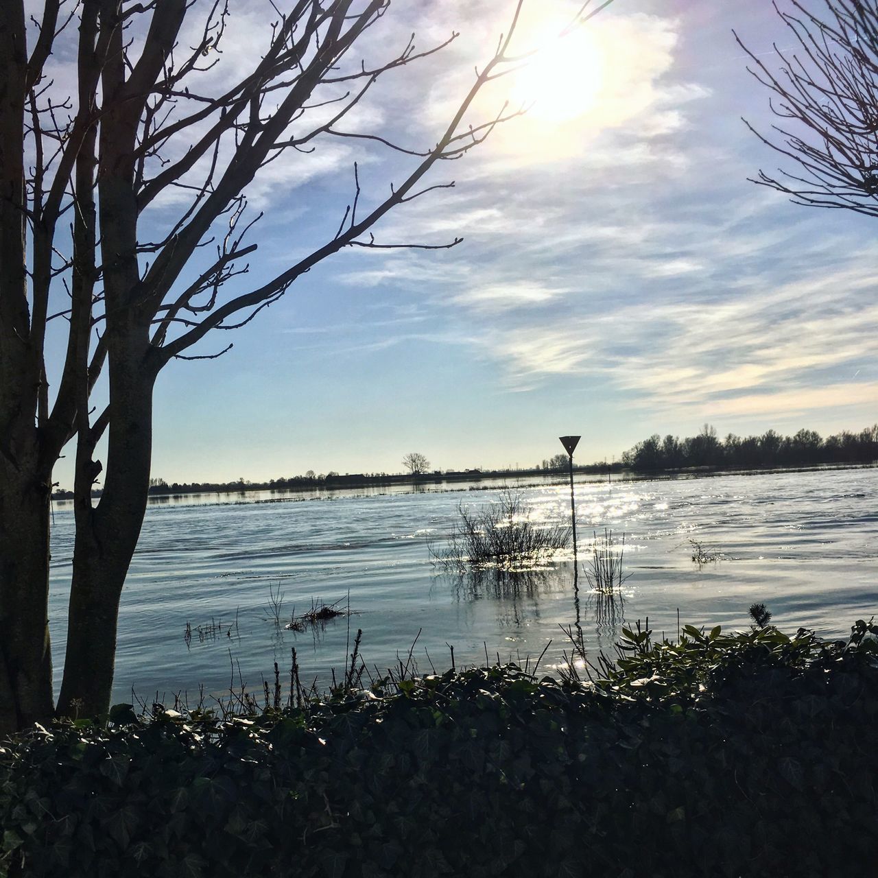 water, sky, tranquility, tranquil scene, tree, bare tree, branch, scenics, beauty in nature, nature, lake, cloud - sky, sea, tree trunk, lakeshore, silhouette, idyllic, cloud, no people, non-urban scene