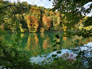 Scenic view of lake by trees during autumn